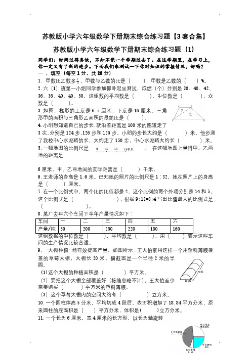 苏教版小学六年级数学下册期末综合练习题【3套合集】