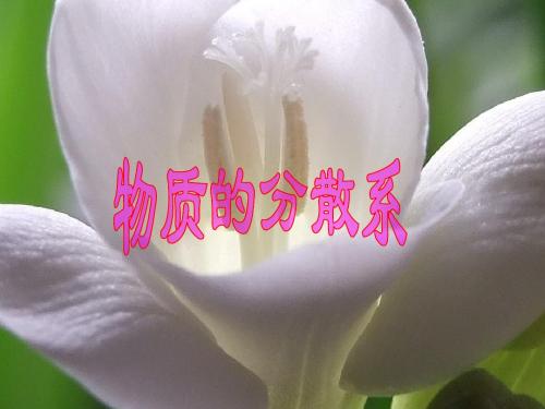 必修1《分散系及其分类》PPT课件资料