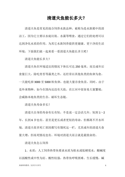 清道夫鱼能长多大？