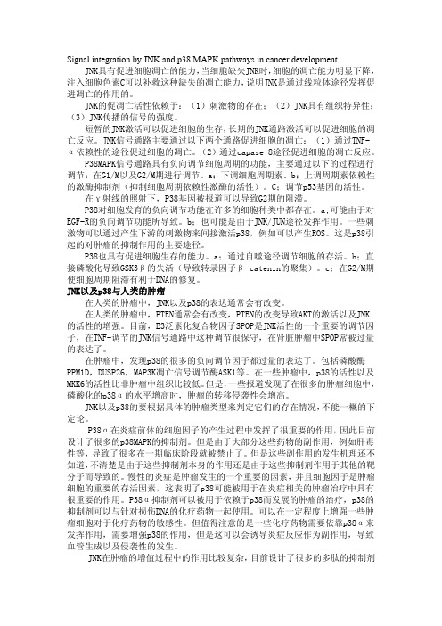 JNK信号通路