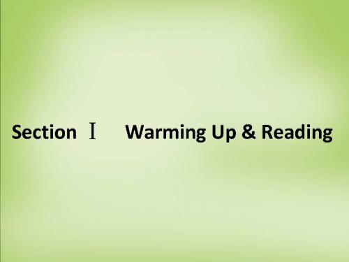 【师说】2015-2016学年高一人教版英语必修一课件：Unit 2 English around the world 1
