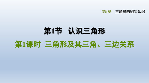 浙教版 数学八年级上册第1章 三角形的初步认识《三角形及其三角、三边关系》