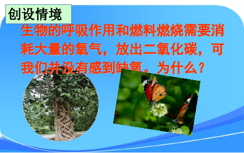 《光合作用吸收二氧化碳释放氧气》课件