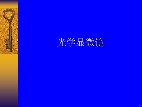 偏光显微镜(PPT课件)
