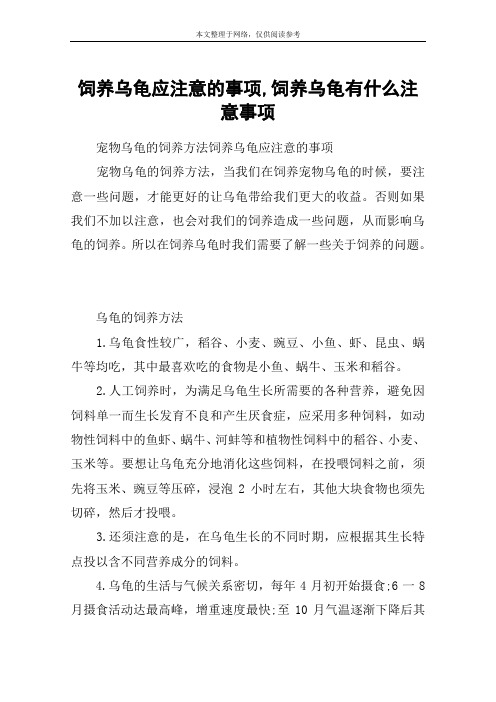 饲养乌龟应注意的事项,饲养乌龟有什么注意事项