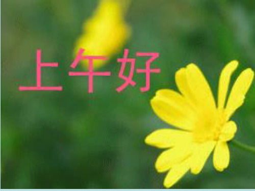 骆秋菊二年级《森林旅店》-文档资料