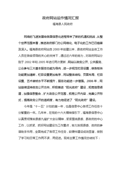 政府网站运作情况汇报