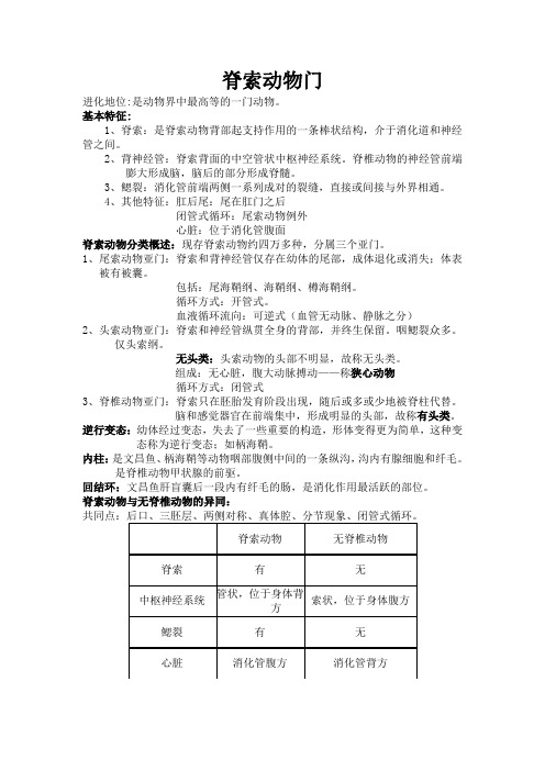 脊索动物门