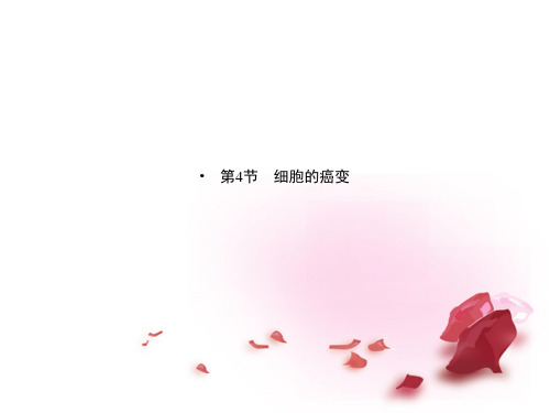 高中生物 第六章 第4节 细胞的癌变 新人教版必修1PPT课件