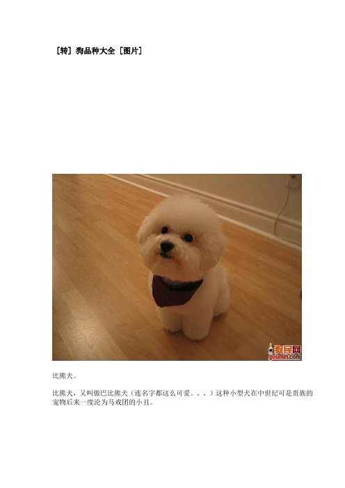 狗狗品种
