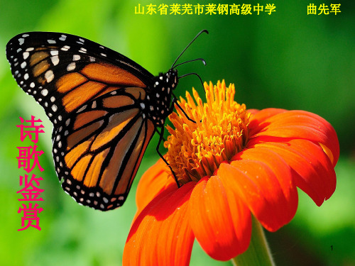 2015年高考试题诗歌鉴赏精选(极有参考价值!)ppt课件