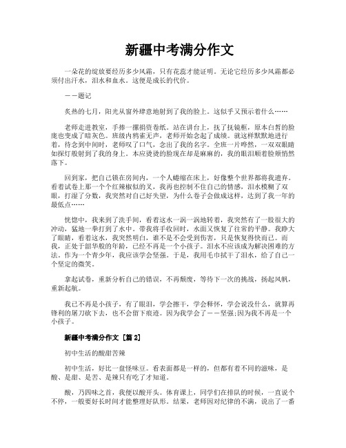 新疆中考满分作文