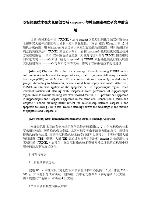 双标染色技术在大鼠脑创伤后caspase-3与神经细胞凋亡研究中的应用