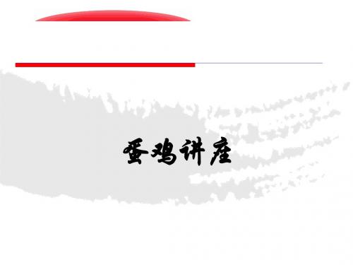 蛋鸡饲养管理篇讲座 精品