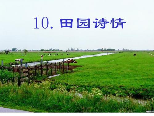 苏教版四年级上册语文《田园诗情》优质课PPT课件