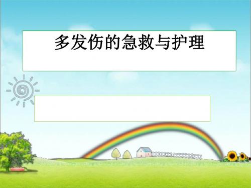 多发伤护理查房PPT课件
