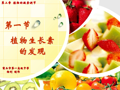 《植物生长素的发现》  ppt课件