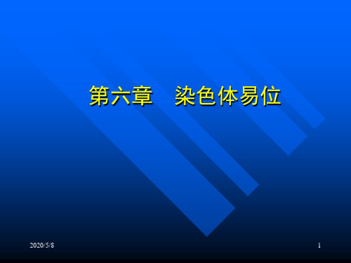 第六章  染色体易位
