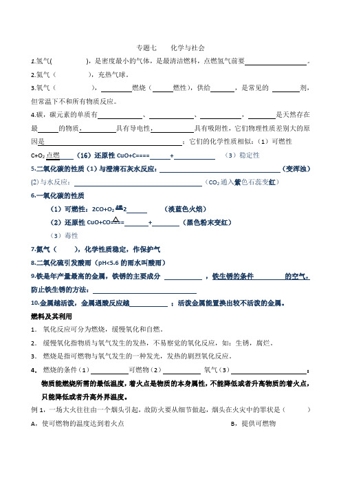 专题七    化学与社会