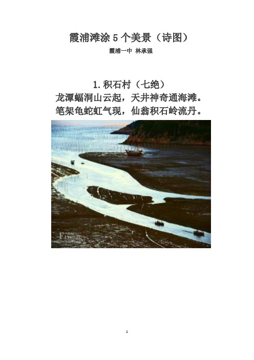霞浦滩涂5个美景(诗图)