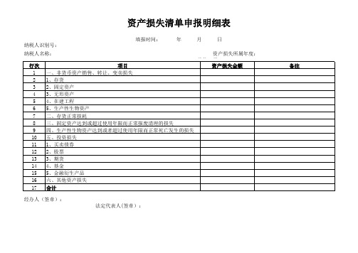 资产损失清单申报明细表