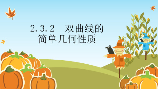 选修2-1第二章2.3.2双曲线的简单几何性质(新授课课件)