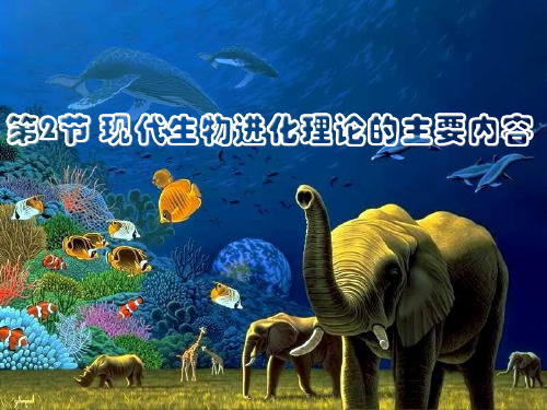 人教版高中生物必修二：7.2现代生物进化理论的主要内容课件 (