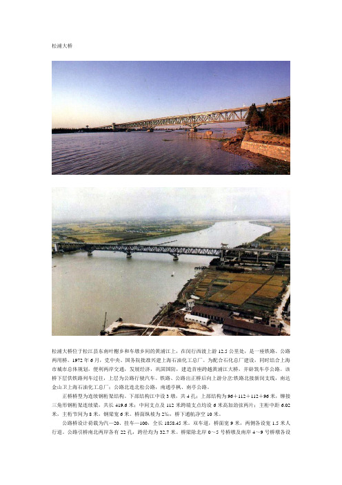 横跨黄埔江的上海大桥