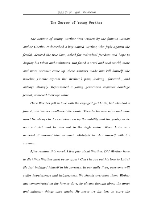 The Sorrow of Young Werther