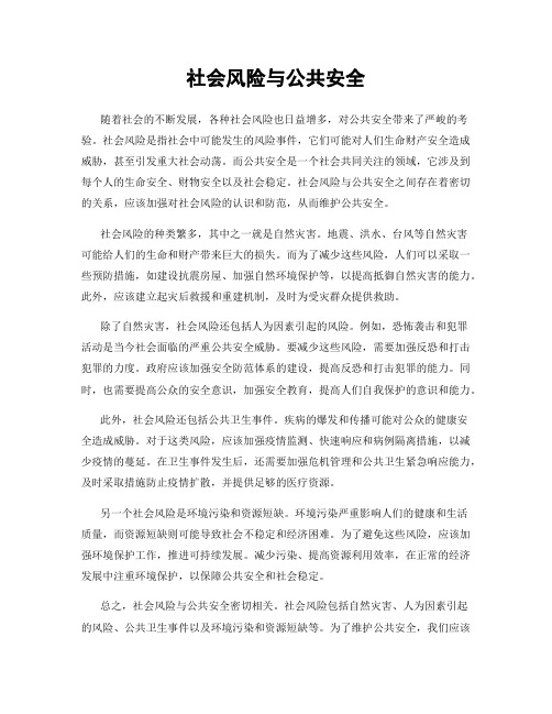 社会风险与公共安全
