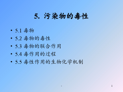 污染物的毒性课件