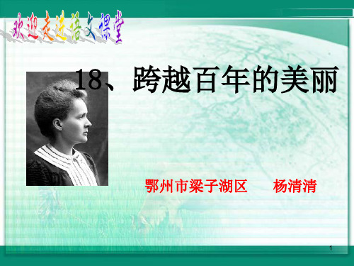 《跨越百年的美丽》(第二课时)PPT课件