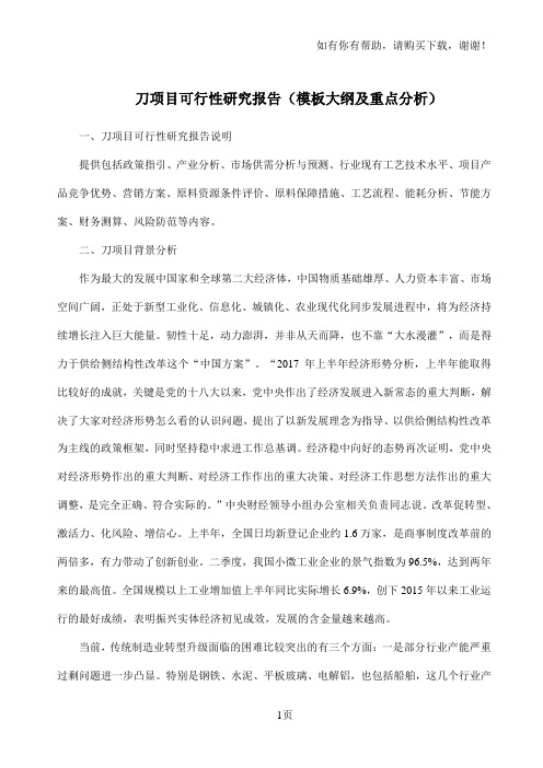 刀项目可行性研究报告模板大纲及重点分析