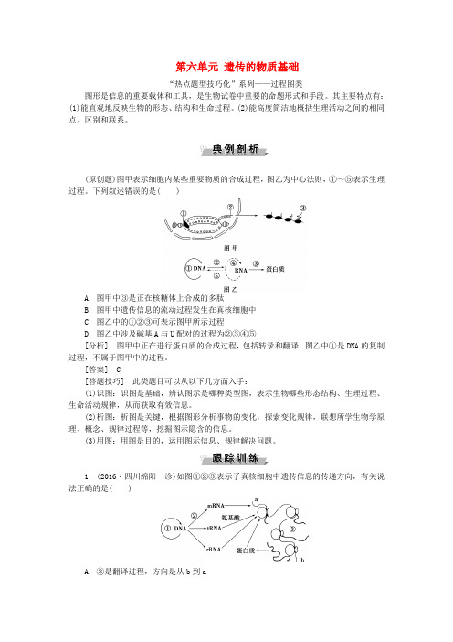 优化方案2017版高考生物大一轮复习 第六单元 遗传的物质基础单元培优提能系列