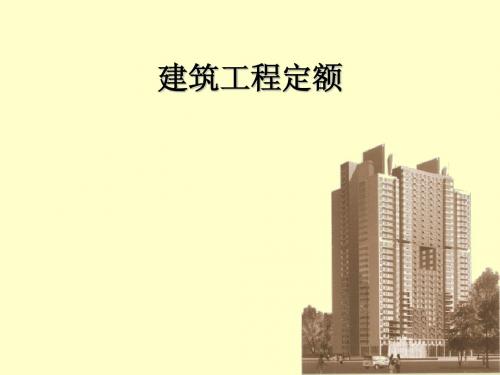 预算定额