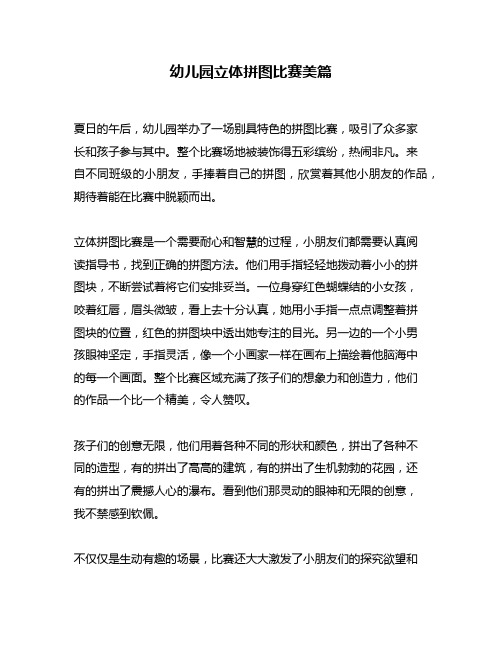 幼儿园立体拼图比赛美篇