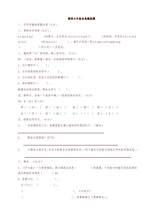 广东省深圳市小升初语文全真模拟题