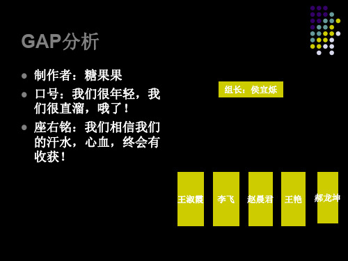 GAP的案例分析共49页文档