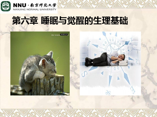 睡眠与觉醒的生理基础(第六章)