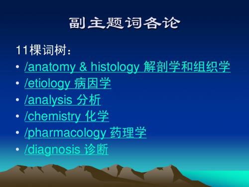 第13章-副主题词各论