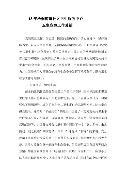 13年卫生应急工作总结