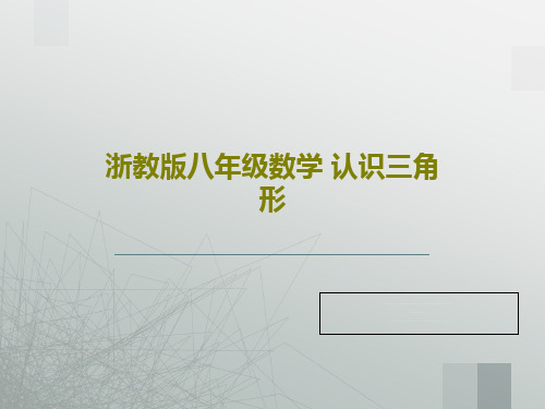 浙教版八年级数学 认识三角形24页PPT