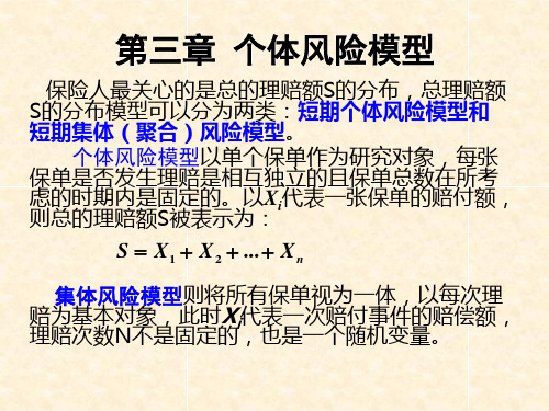 第3章   个体风险模型(高等教学)