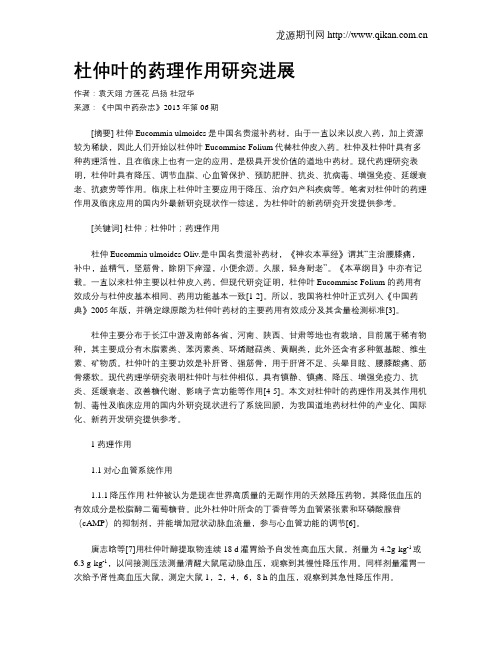 杜仲叶的药理作用研究进展