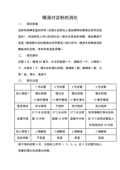 唾液对淀粉的消化