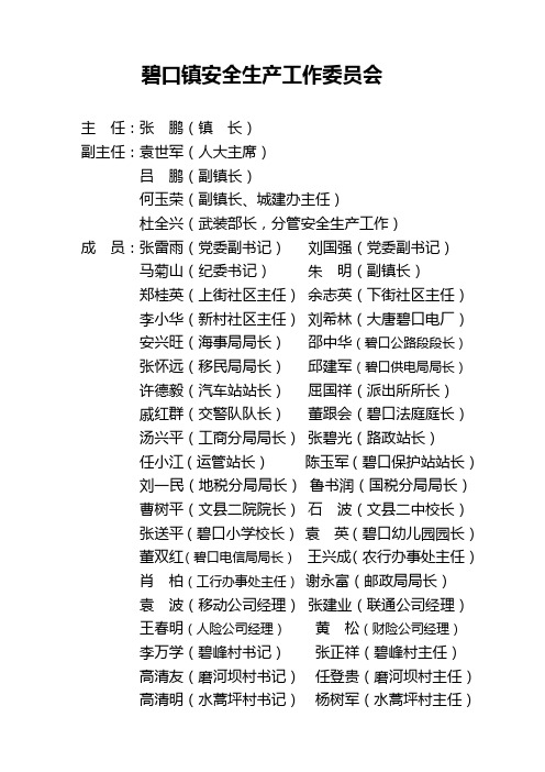 安委会领导小组及职责