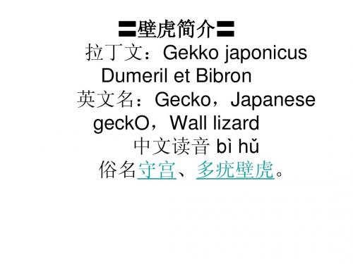 壁虎