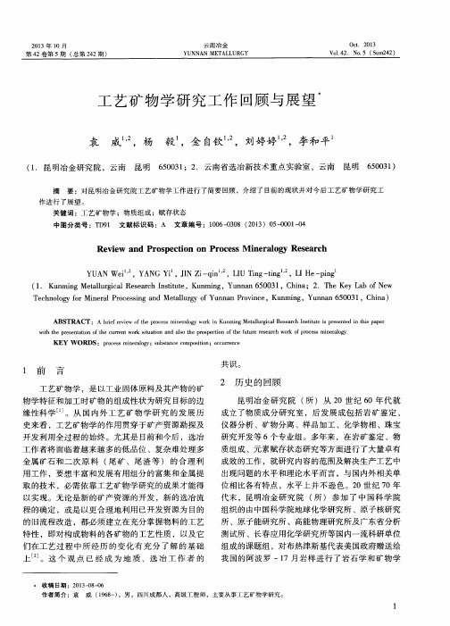 工艺矿物学研究工作回顾与展望