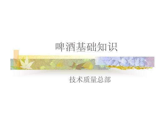 啤酒基本知识1