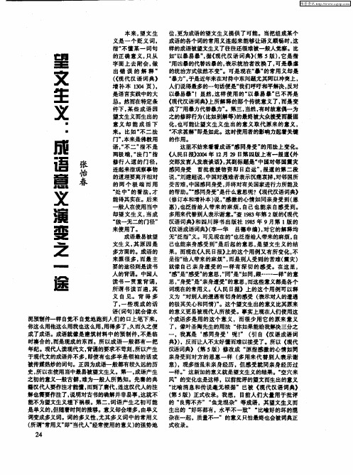 望文生义：成语意义演变之一途